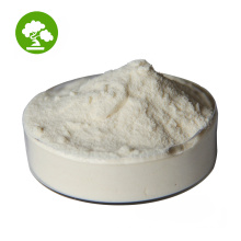 Lebensmittelqualität Magnesium L-Threonate CAS 778571-57-6